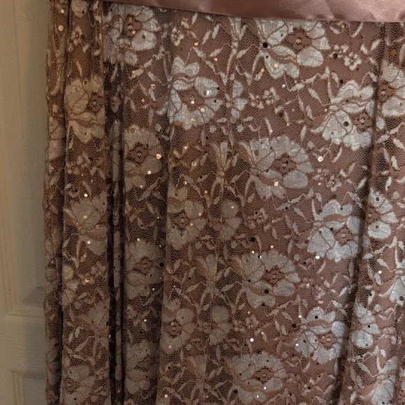 Chic Floral Lace Maxi Dress in Blush NWOT - Picture 6 of 9